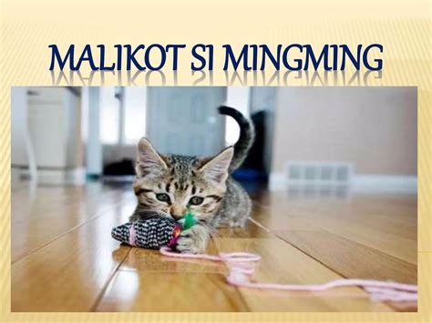 pina subo sa tsikot ang chix na malikot|Nagulat si Burikat sa Maugat na Burat ni Matmat.